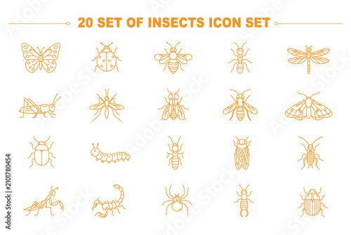 Photos Insects bug web line icons set spotted ladybug beetle praying mantis insect hone