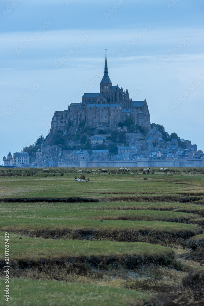 Obraz premium Vertical view of Mont Saint-Michel abbey at blue hour with green salt marshes and grazing sheep in the foreground, iconic landmark in Normandy, France.
