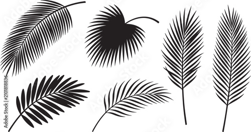 Elegant Palm Leaf Silhouette Vector Tropical Botanical Nature Minimal Design Element