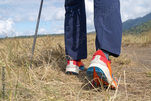 Foto A Bright Adventure on a Scenic Trail: Exploring Nature with Every Step in Vibran