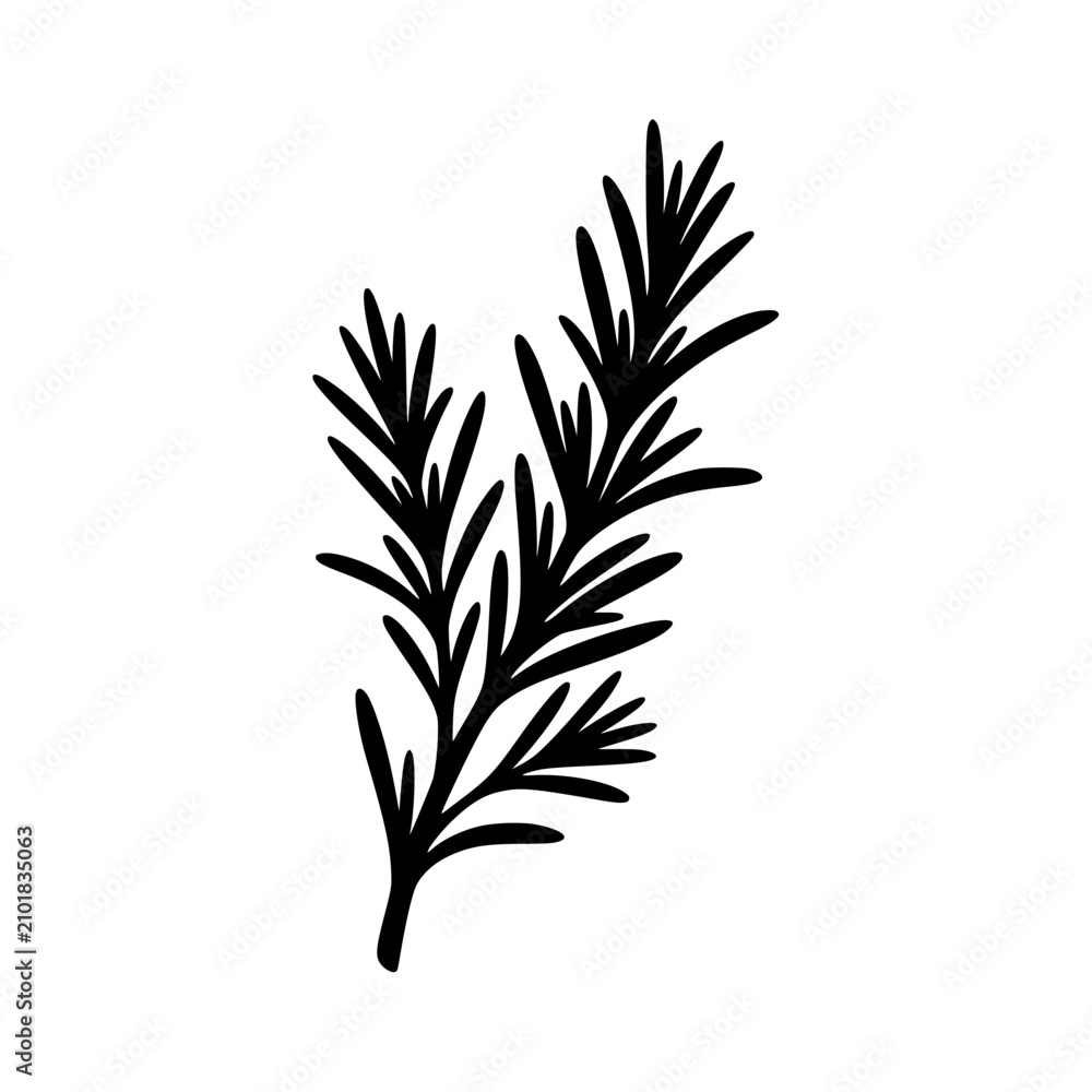 Fototapeta premium Botanical sprig silhouette vector illustration