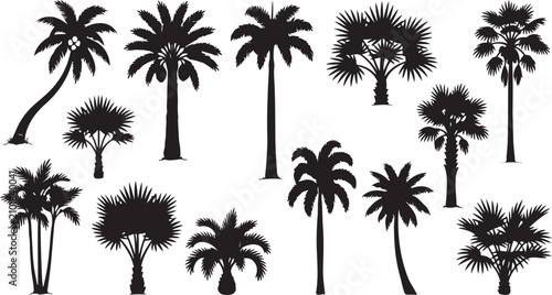 Hand Drawn Tropical Palm Tree Silhouette Vector Botanical Collection Design Set