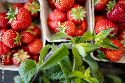 Frische Erdbeeren mit Minze auf dem Marktstand in Deutschland