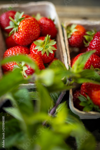 Frische Erdbeeren mit Minze auf dem Marktstand in Deutschland - Details