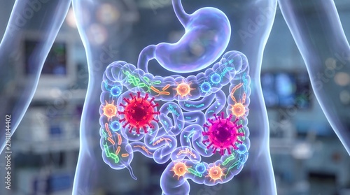 Human gut microbiome with glowing bacteria in digestive system, intestine and stomach, medical 3D illustration, gut health concept
