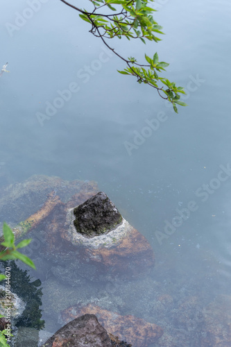 Bild auf Leinwand 梅雨時の湯の湖に浮かぶ温泉成分で変色した岩と乳白色の水面