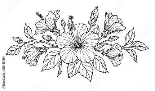 Hand drawn hibiscus floral line art elegant tropical flower vector illustration isolated on white background