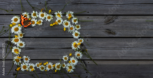 Kranz aus Margeriten auf einem Grauen Holzhintergrund