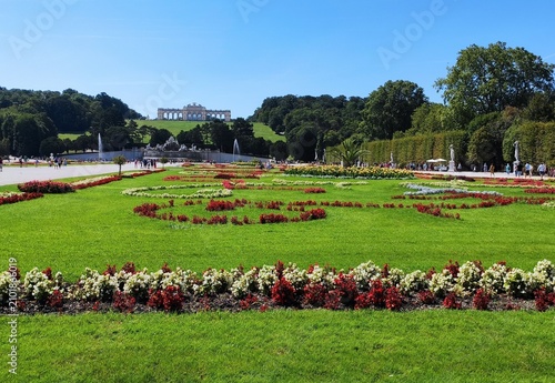 Принти на полотні Vibrant summer flower arrangements and green lawns in Schonbrunn Palace gardens