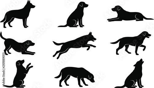 Konstfotografi Dog Pose Silhouette Collection with Standing, Sitting, Running, Walking, Playing