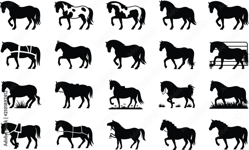 Fototapeta premium Set of horse silhouettes, different breeds and poses, farm animals and equestrian sport