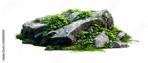 rock with green plants cutout isolated illustration on transparent background cutout cutout isolated illustraion on transparent bacground