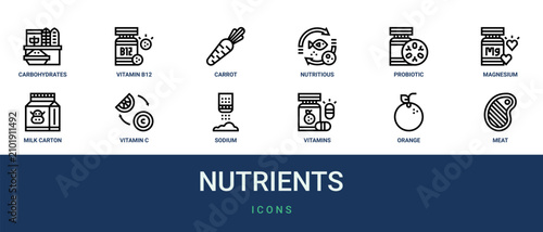 фотографія Set of 12 outline web Nutrients icons such as meat, orange, vitamins, sodium, vi