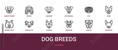 Tableau sur toile Set of 12 outline web Dog Breeds icons such as Chihuahua, shar pei, miniature sc