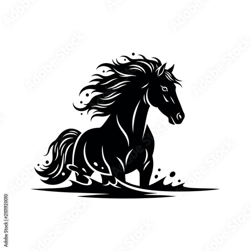 Fotografie Black Horse Running in Water.