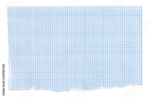 Foto Torn graph paper places small measured cells beside a leather grain surface and