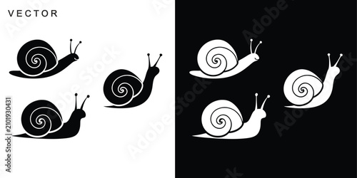 Snail vector icon, Snail modern line art, black and white snail and slug crawling icons, Vector illustration