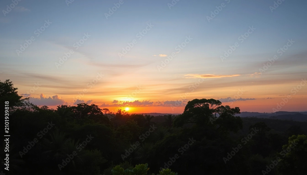 Fototapeta premium Soft horizon lights jungle edge