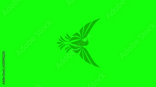 A video showcasing a bird in flight on green screen