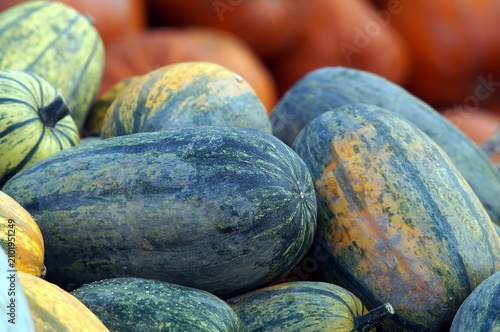 pumpkins and gourds