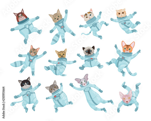 Cartoon vector illustration of a large set with various cute domestic cats wearing space suits and helmets, isolated on white background.