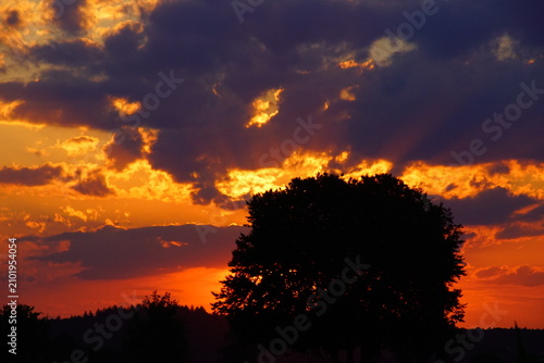 Sunset with half‑hidden sun under gray and dark red clouds and tree silhouette