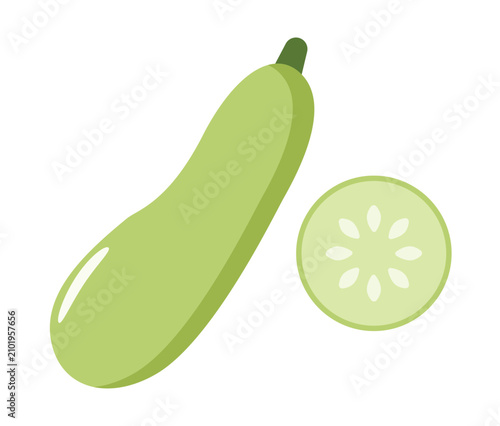 Flat cartoon vector illustration of a zucchini. Fresh green marrow squash vegetable isolated on a white background for food design.