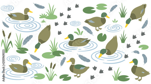 Tableau sur toile Seamless pattern with ducks swimming in pond and nature water elements
