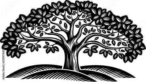Detailed black and white woodcut style illustration of a large oak tree standing on rolling hills, vintage engraving aesthetic, artistic nature graphic for print design, forestry, and rural themes