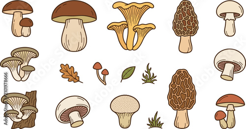 Bild auf Leinwand Edible Wild Mushroom Icon Set Featuring Porcini, Chanterelle, Morel, Oyster, Puf