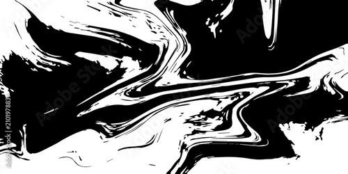 Fotografija Abstract Fluidic Swirls of Black and White ink flow and marbleize, creating a dynamic and captivating abstract pattern of swirling forms and contrasting tones, suggesting movement and depth