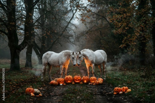 Ethereal white horses with illuminated jack o' lanterns in an autumnal forest scene