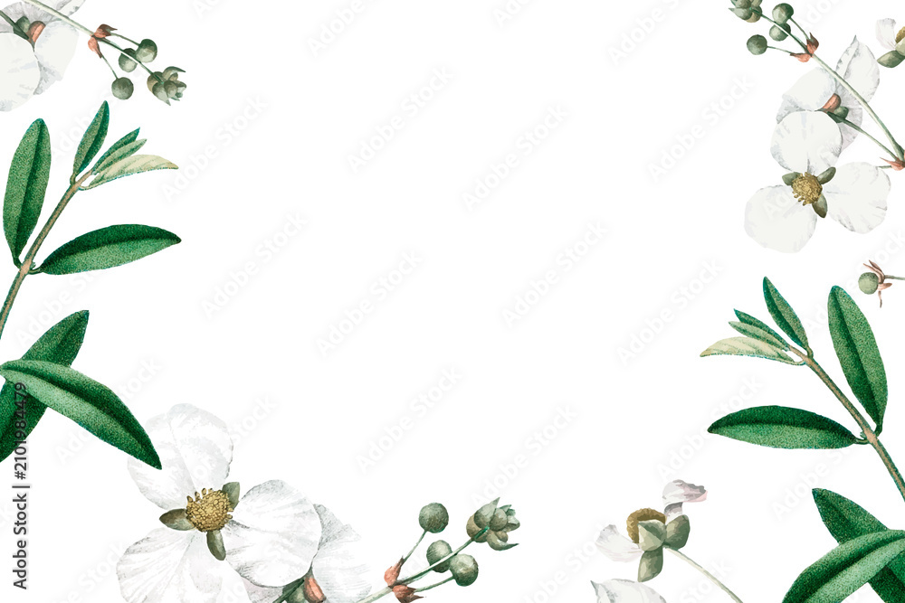 Fototapeta premium Flower png border, transparent background