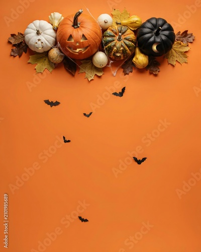 Festive halloween arrangement with pumpkins autumn leaves and bats on a vibrant orange background