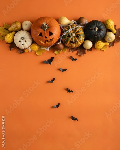 Autumnal halloween still life pumpkins gourds and bats on a vibrant orange background
