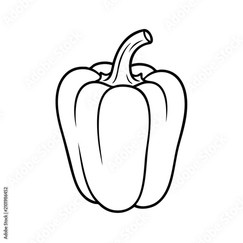 Hand-drawn vector bell pepper illustration. Minimalist black and white vegetable sketch for design projects.