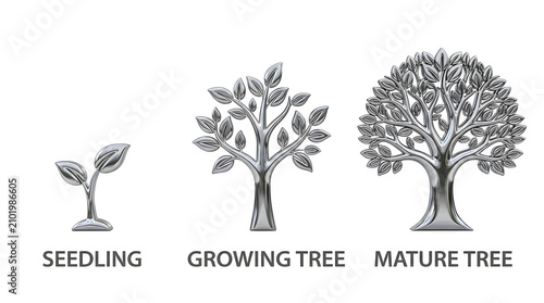 Three stages of tree growth isolated on white background