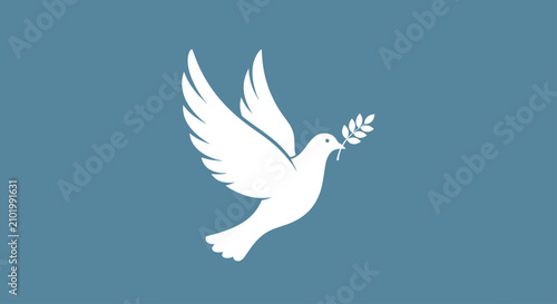 Quadro su tela White peace dove with olive branch on blue