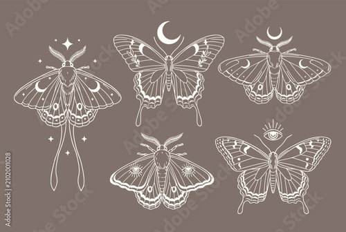 Elegant hand drawn collection of celestial moths and butterflies decorated with magical moon and crescent star symbols.