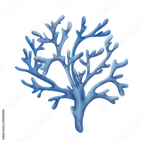 Fotografía Sea Coral Illustration Isolated on  Transperent Background
