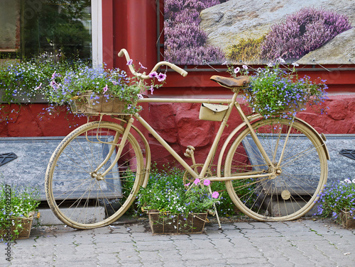 Cream-coloured vintage bicycle serves as a decorative garden feature, adorned with floral arrangements of blue and purple flowers.
