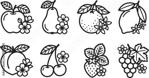Black and white fruit illustration set of eight