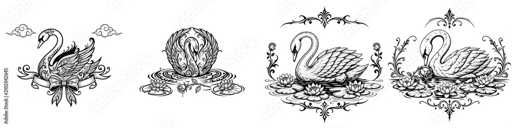 Fototapeta premium Elegant swan illustrations in detailed vintage design style 