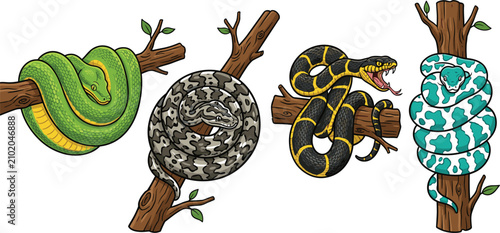 Fotografia Exotic Snake Species Vector Illustration Set with Green Tree Python, Boa Constri