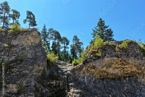 Luftaufnahme des Felsenmeers im Wental mit markanten Felsformationen aus Jurakalk, umgeben von einem dichten Nadelwald und Wanderwegen auf der Schwäbischen Alb bei Sonnenschein.