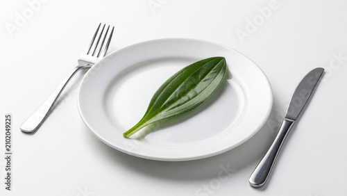 Green leaf served on white plate with cutlery in minimal style  