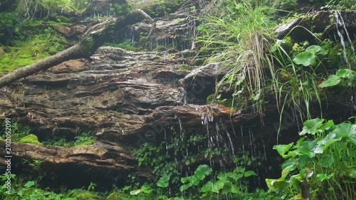 Fast-moving, natural stream of freshwater flowing over rock wall