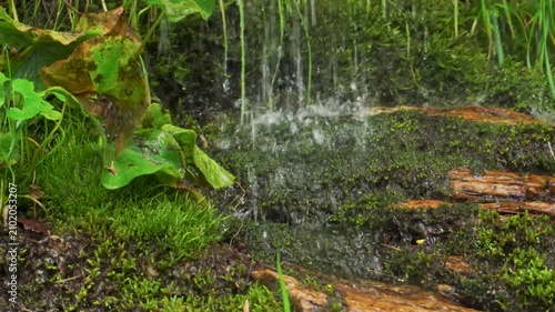 Fast-moving, natural stream of freshwater flowing over rock wall