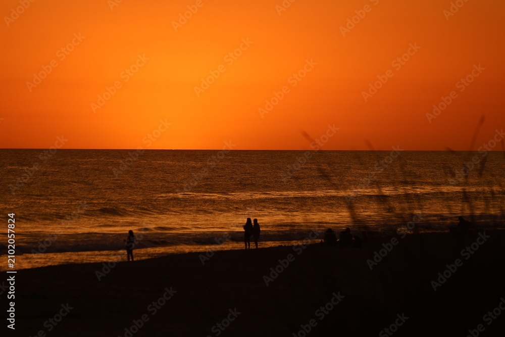 Fototapeta premium last sun