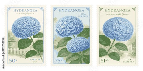 Fotografía Hydrangea Stamps with Victorian Charm: Three collectible postage stamps showcase beautiful blue hydrangea blooms, each with a unique vintage design and denominations